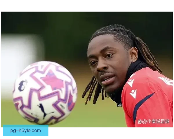 埃泽：踢球时进入心流状态的探索